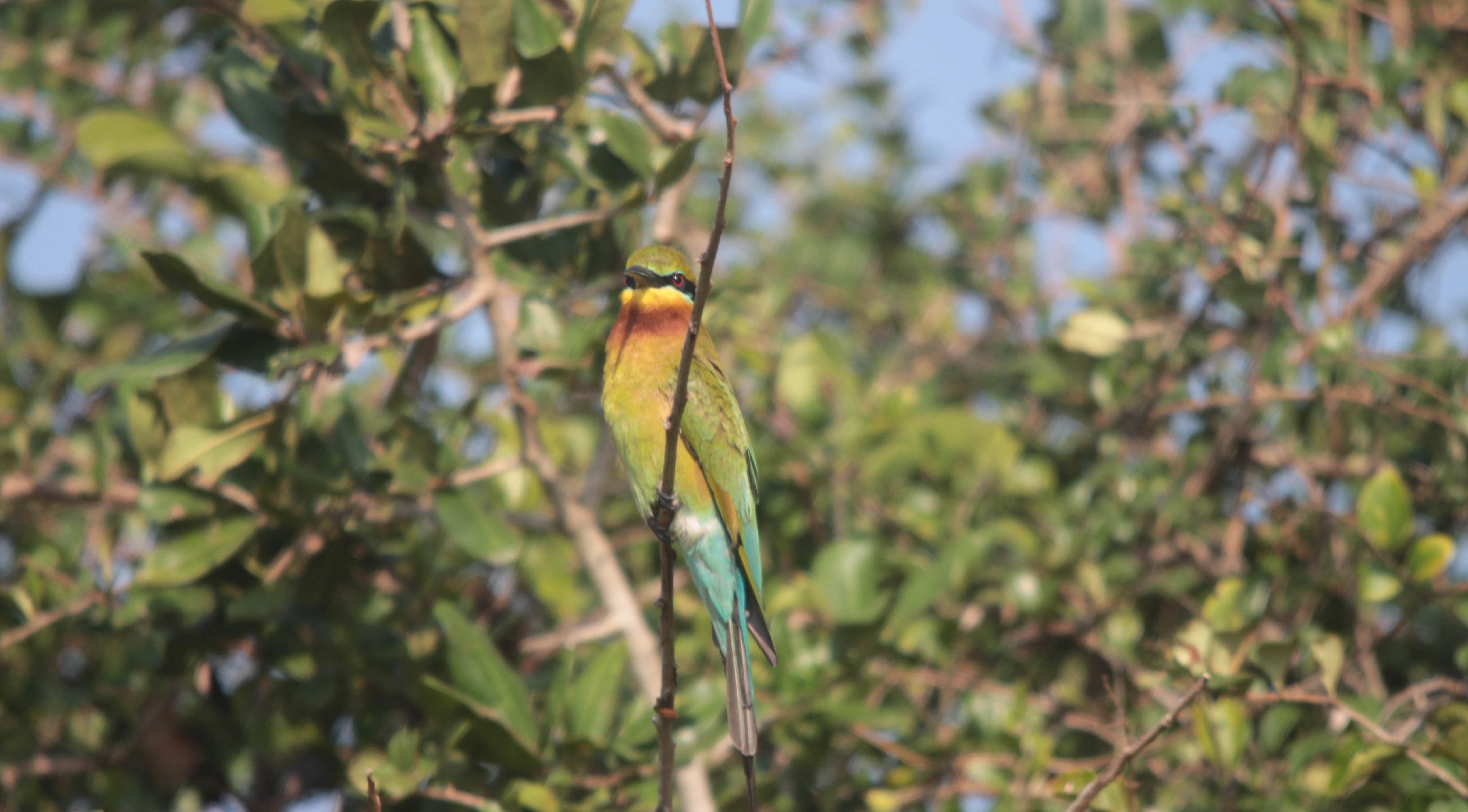 Ethical tourism in Sri Lanka